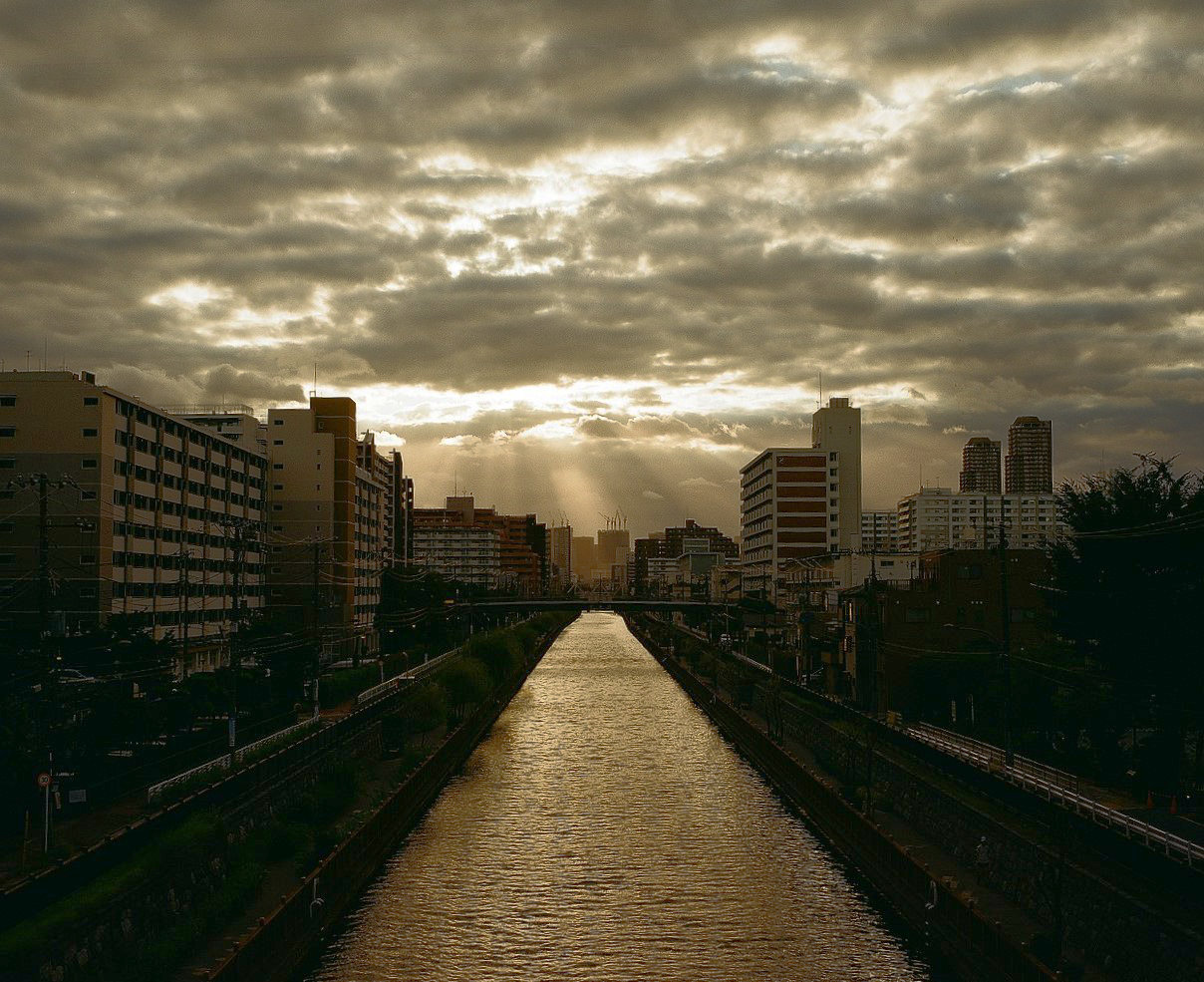 Roll 0010