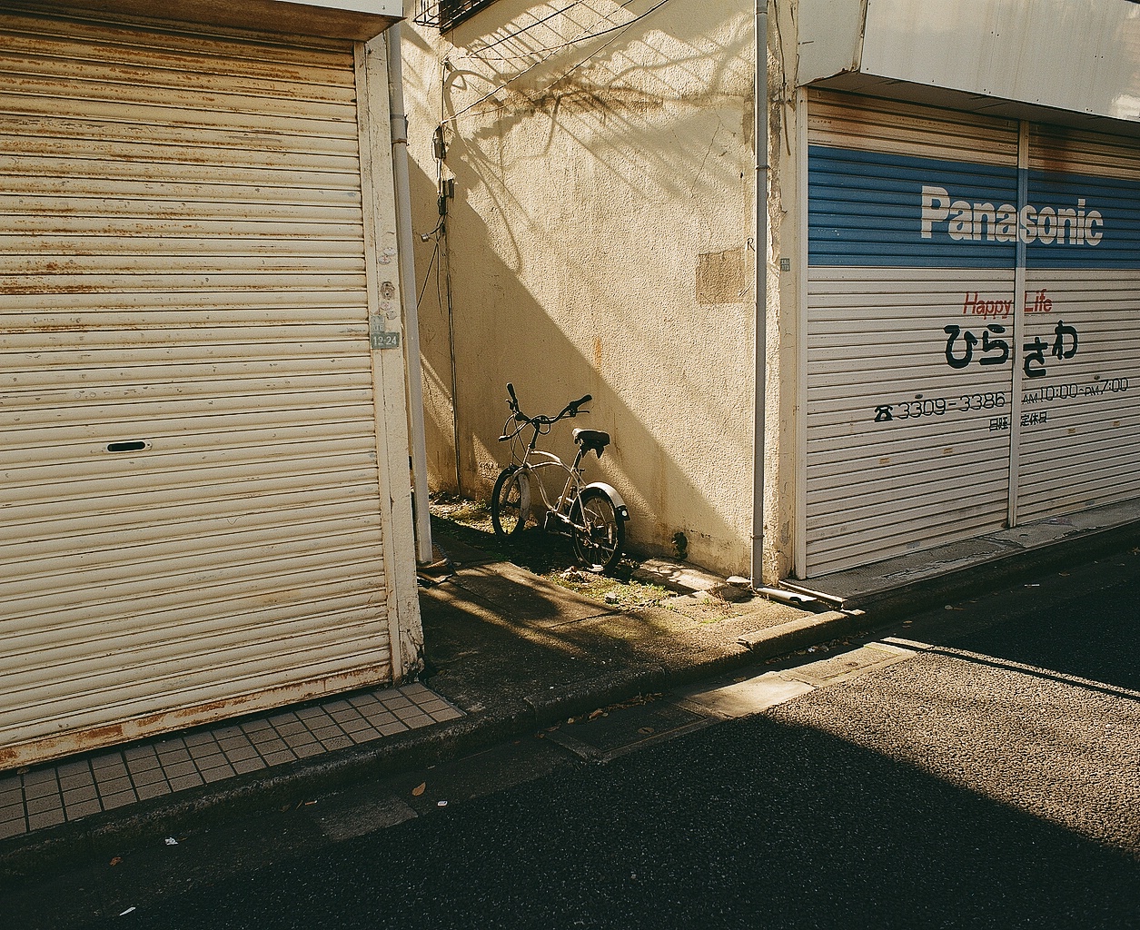 午後の日差し