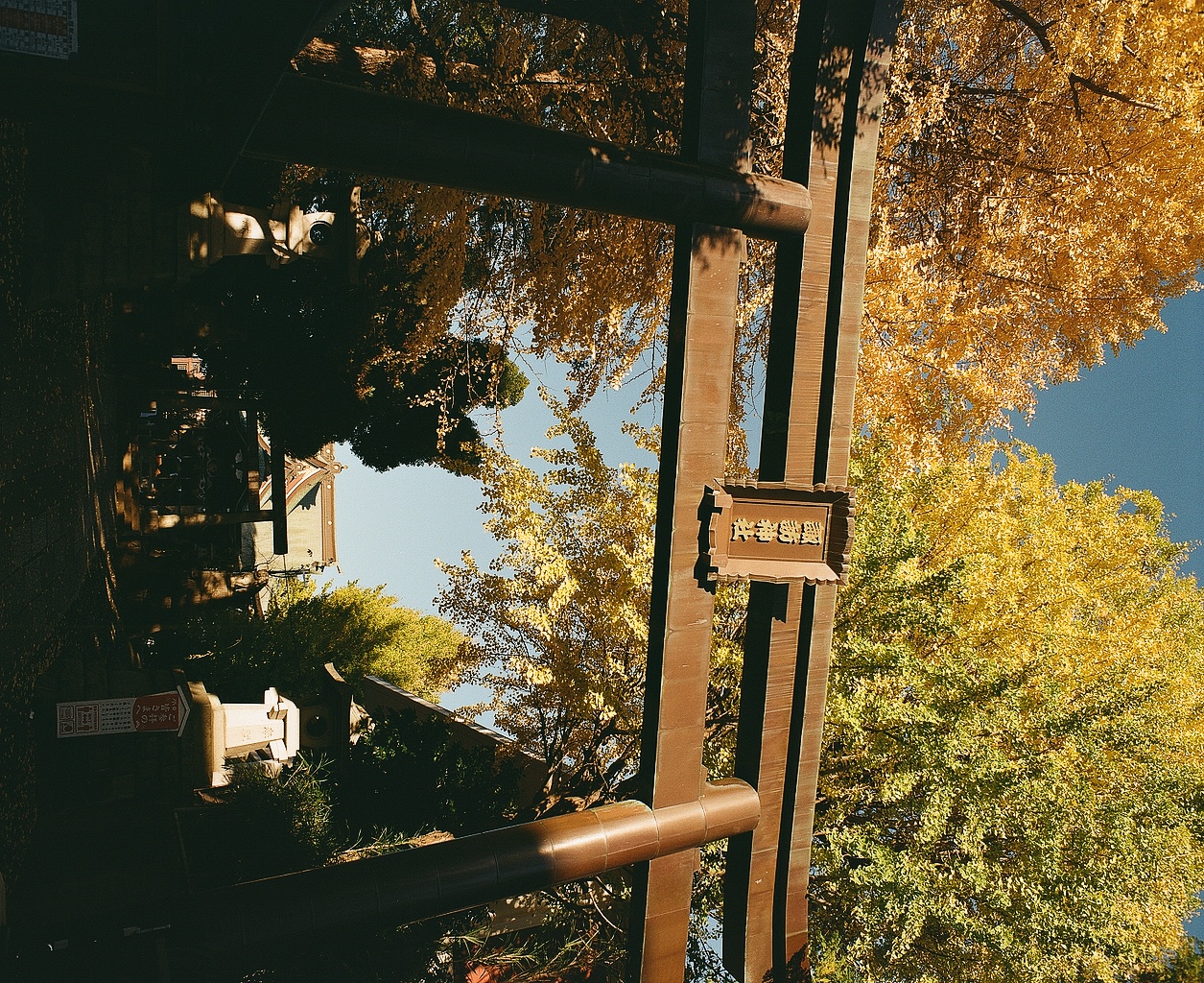 Roll 0013