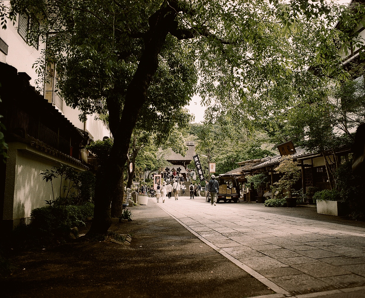 Roll 0020